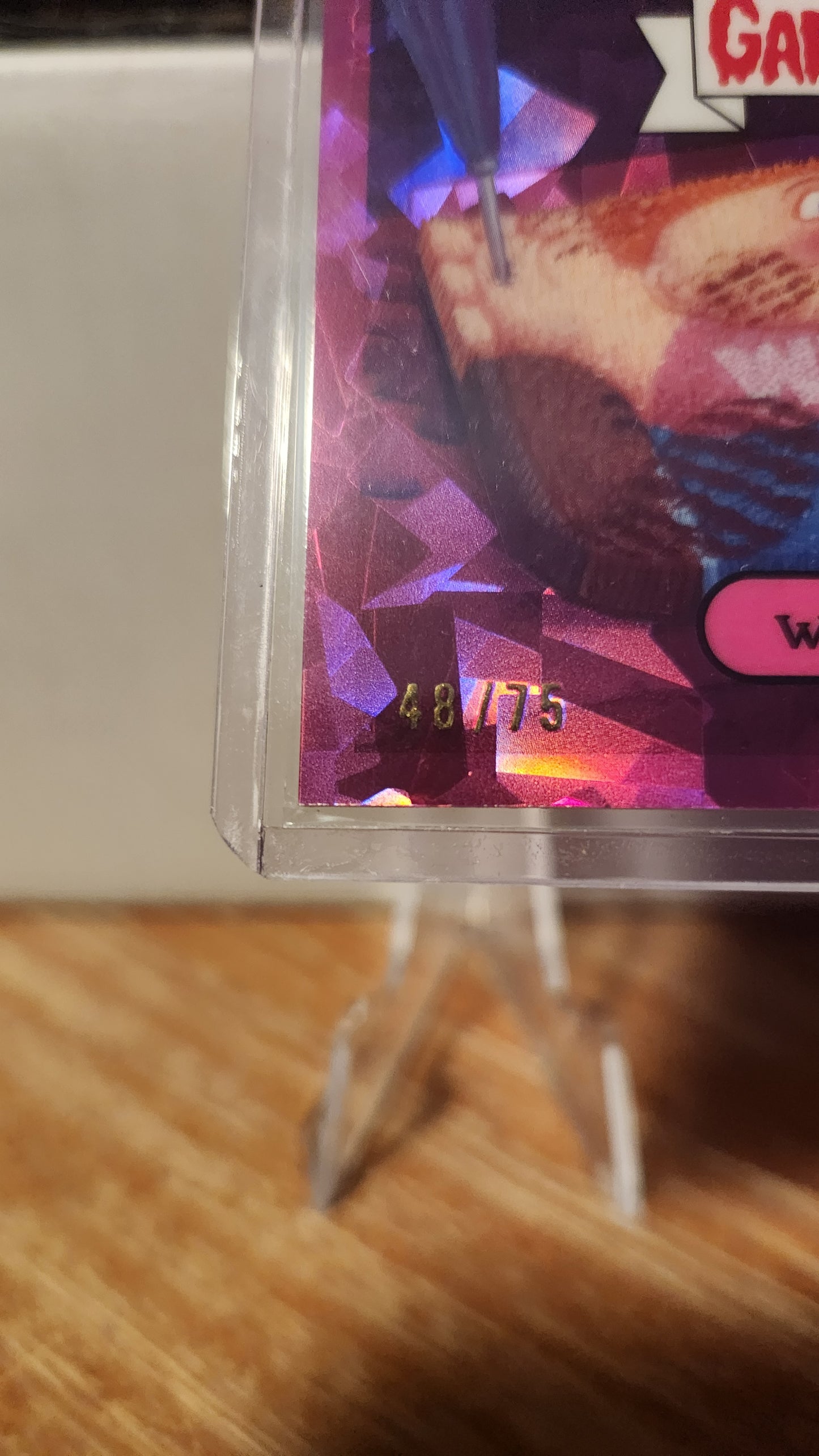 244A WELCOME MATT-FUCHSIA REFRACTOR