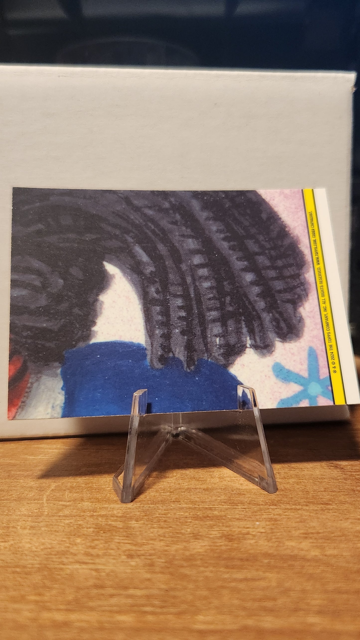 265A CURLY SHIRLEY