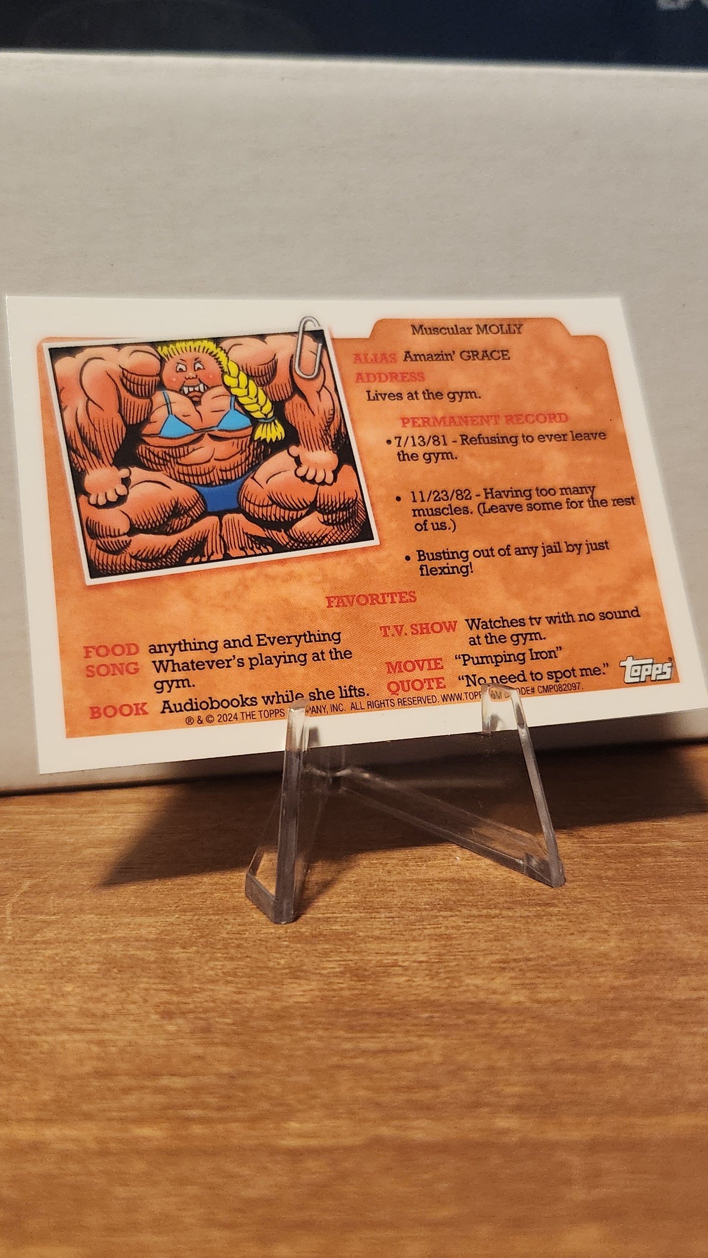 AN-1B GLADIATOR GLEN