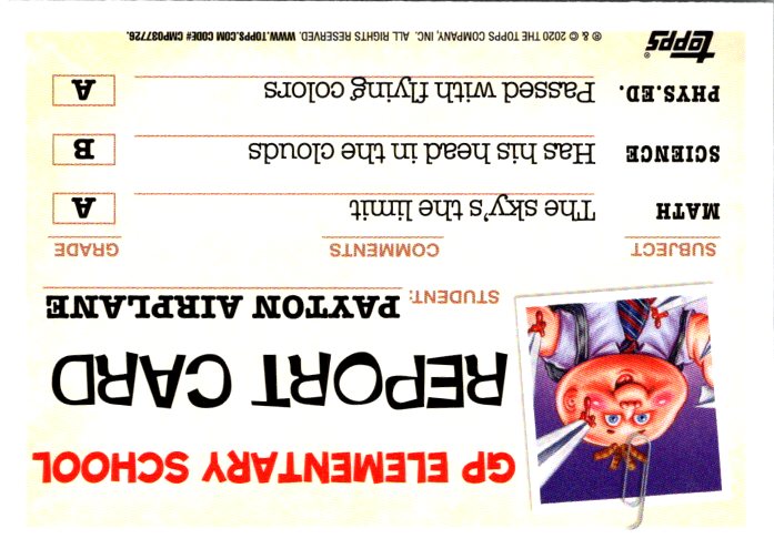 20B GLINDER GLENN - GREEN BORDER