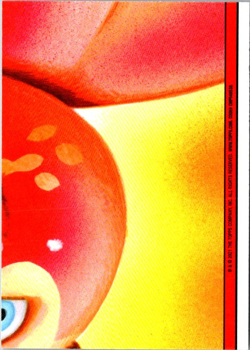 25B PLANE SNACK PETE - GREEN BORDER