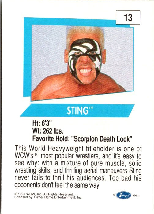 13 STING