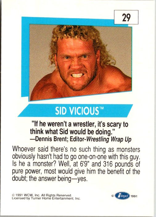 29 SID VICIOUS