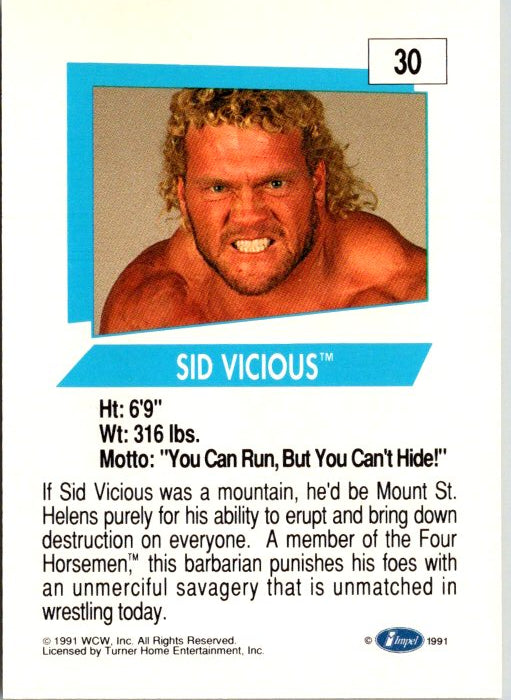 30 SID VICIOUS