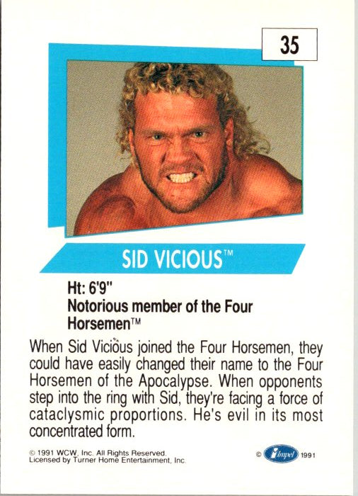 35 SID VICIOUS
