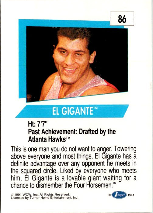 86 EL GIGANTE