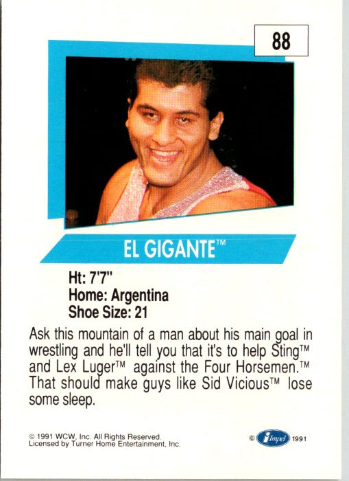 88 EL GIGANTE
