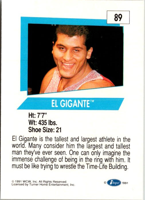 89 EL GIGANTE