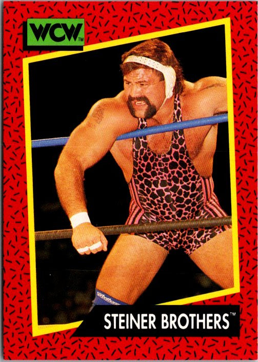 107 STEINER BROTHERS