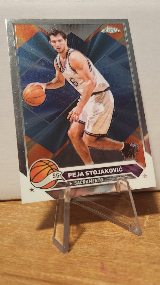 8 PEJA STOJAKOVIC