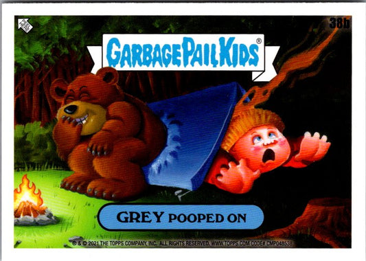 38B GREY POOPED ON