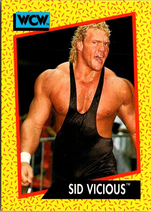 24 SID VICIOUS
