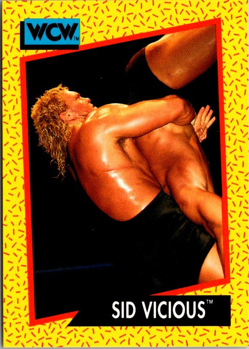 25 SID VICIOUS