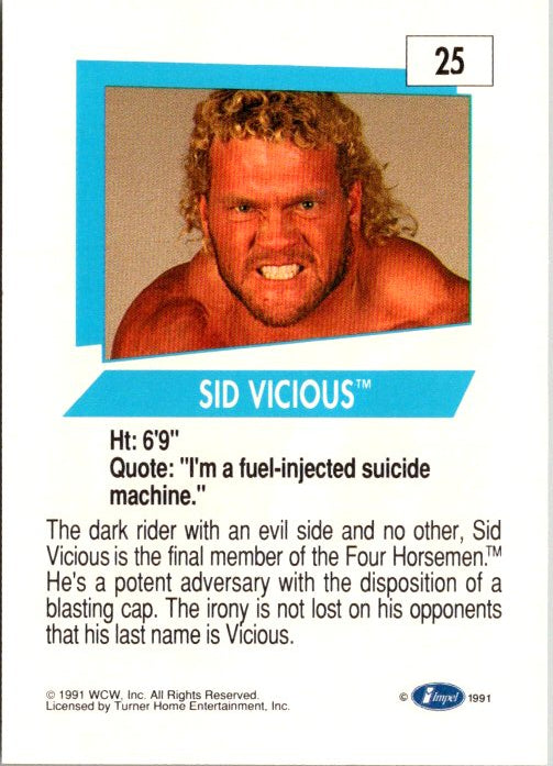 25 SID VICIOUS