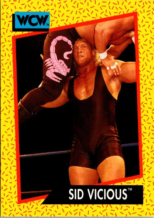 26 SID VICIOUS