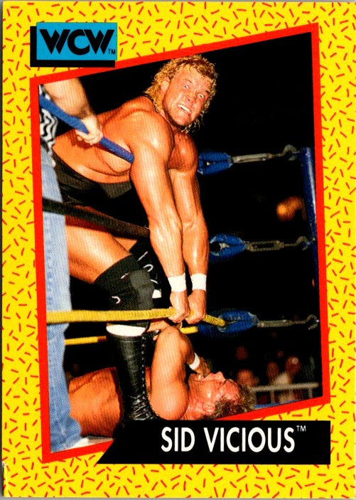 27 SID VICIOUS