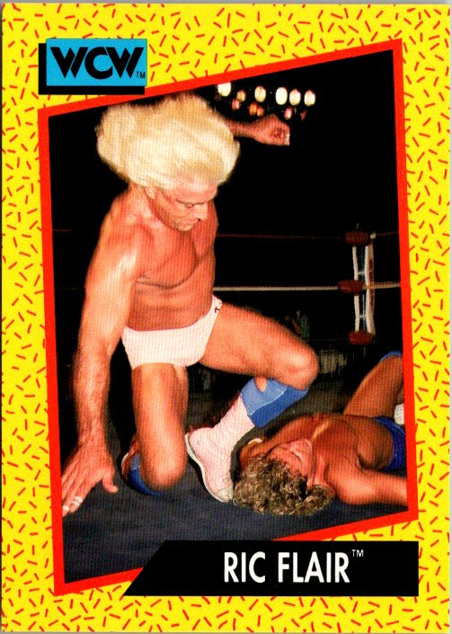 41 RIC FLAIR