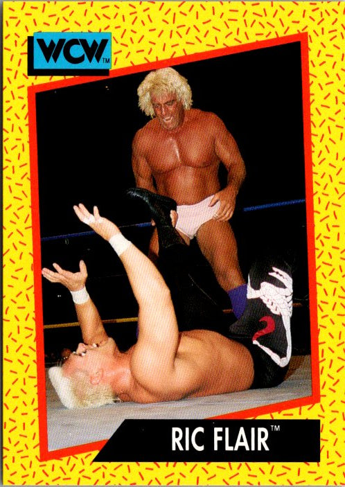 43 RIC FLAIR