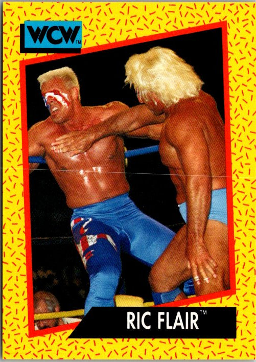 46 RIC FLAIR