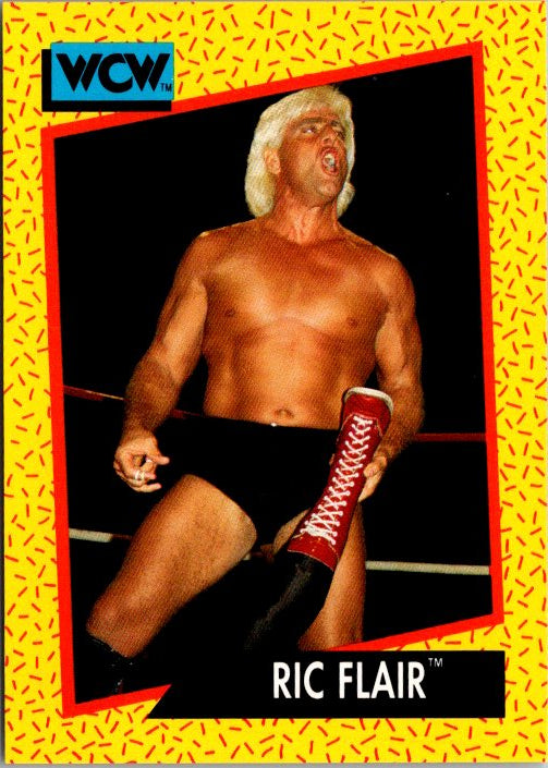 47 RIC FLAIR