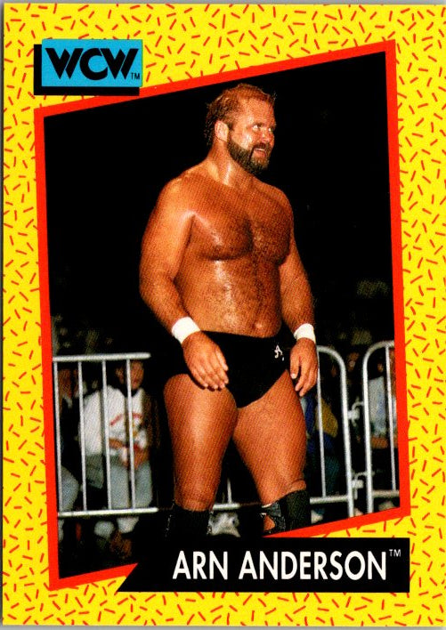48 ARN ANDERSON