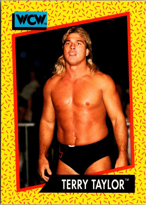 68 TERRY TAYLOR