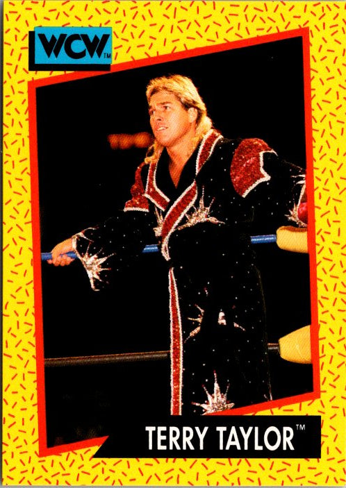 69 TERRY TAYLOR