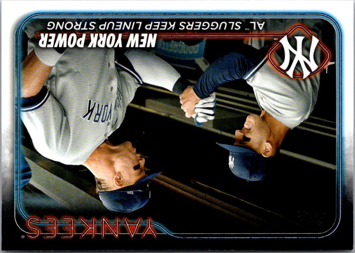 315 NEW YORK YANKEES