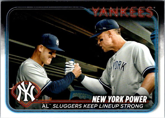 315 NEW YORK YANKEES