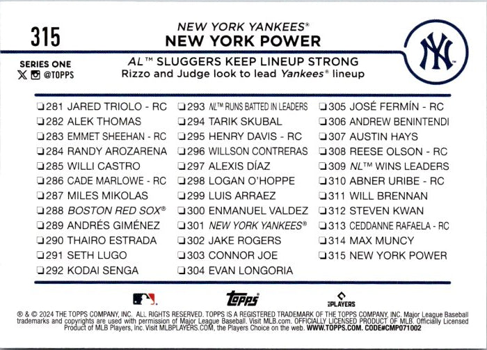 315 NEW YORK YANKEES